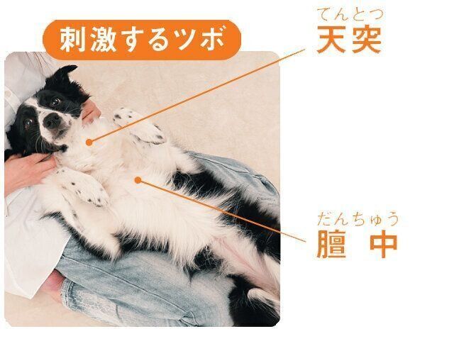 天突と膻中の場所