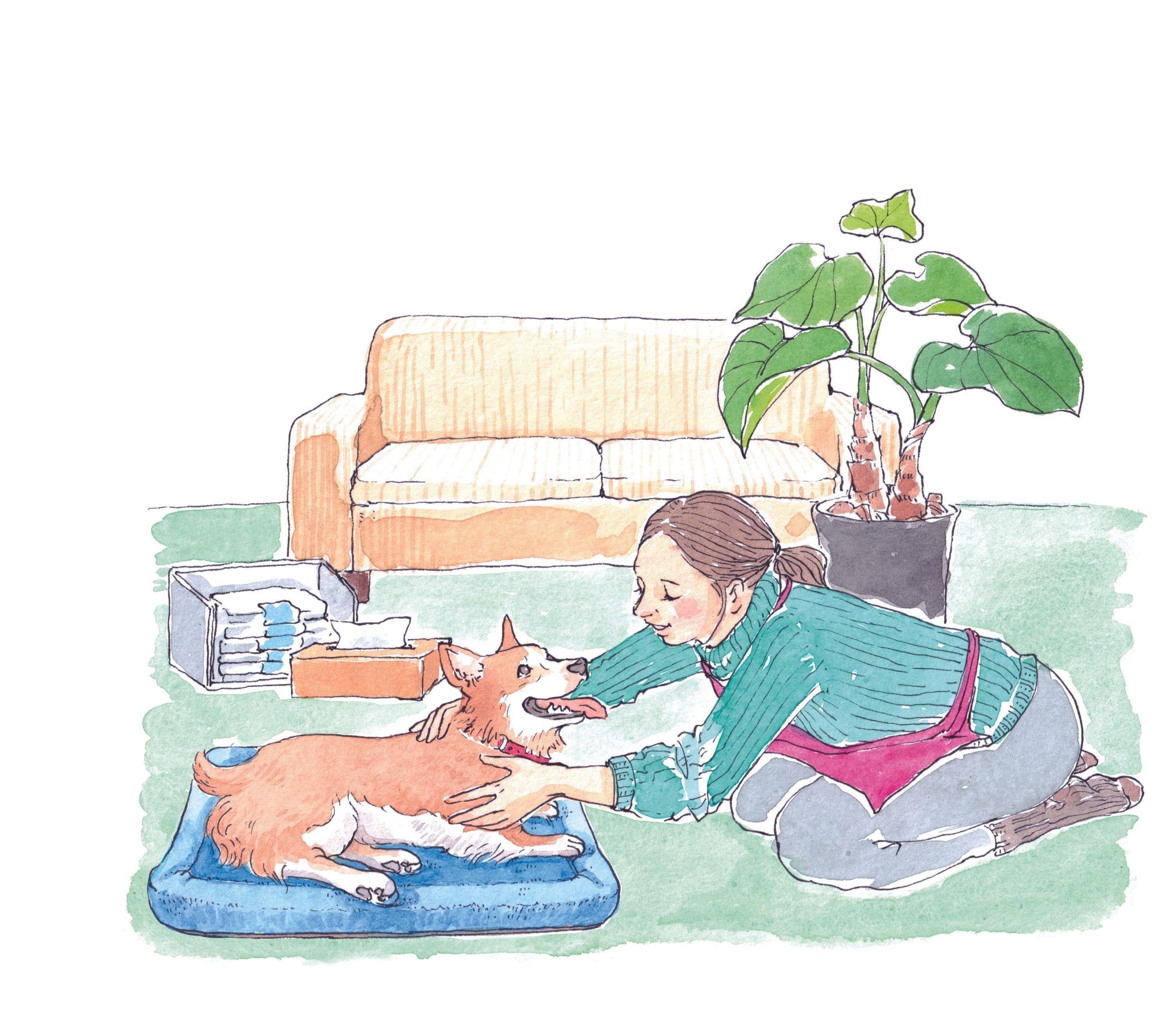 イラスト／フジマツミキ