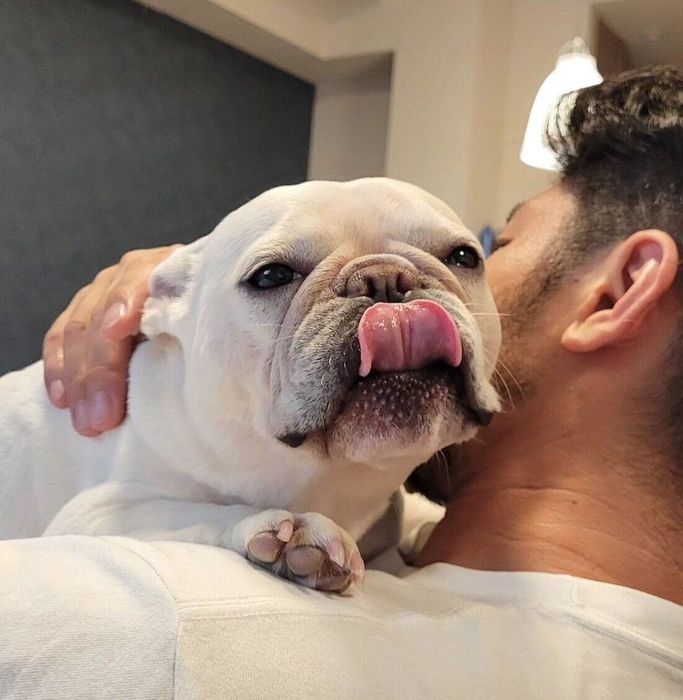 パパさんに抱っこしてもらうやまわきちゃん