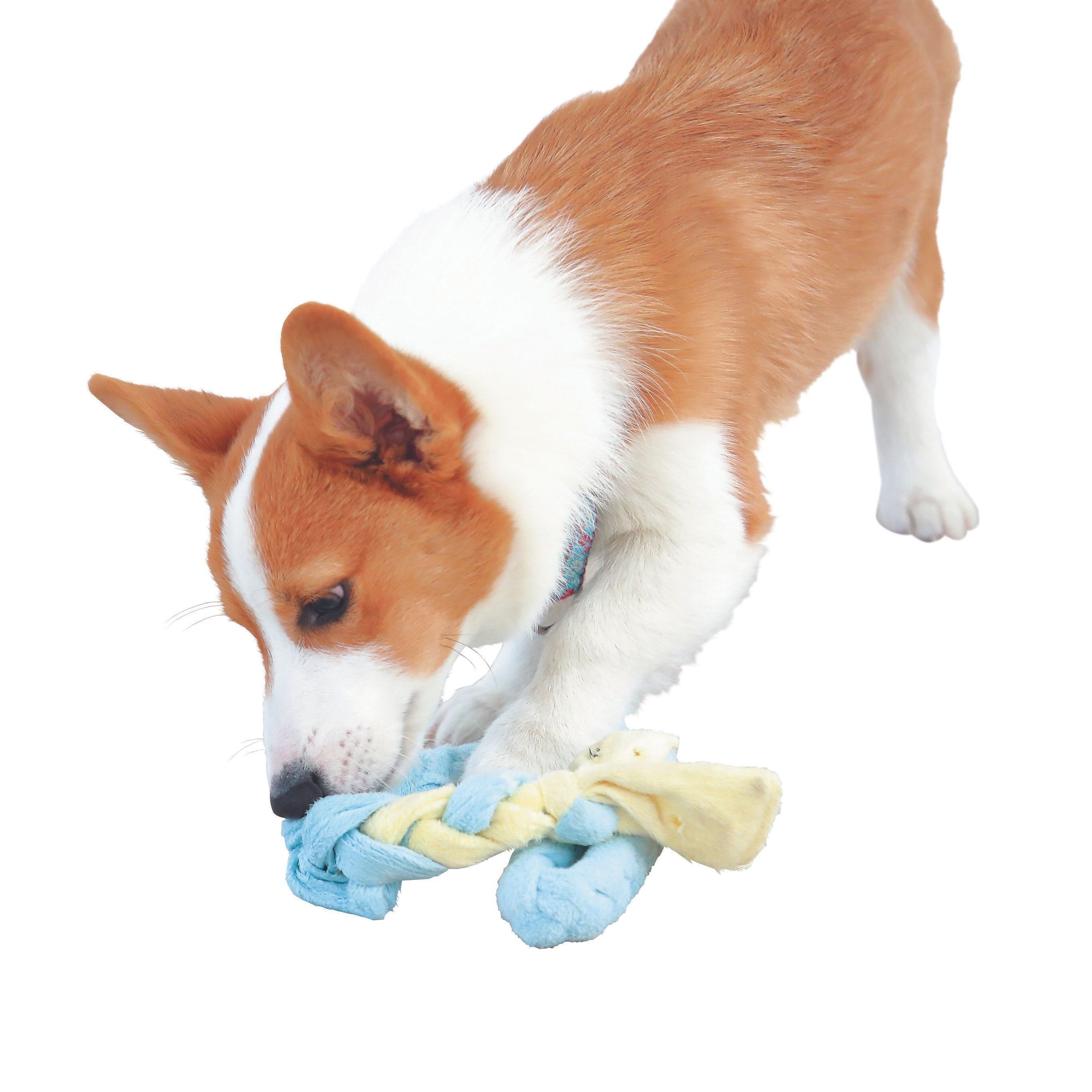 撮影／尾﨑たまき