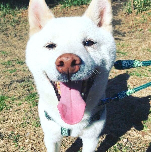 笑顔の福来くん