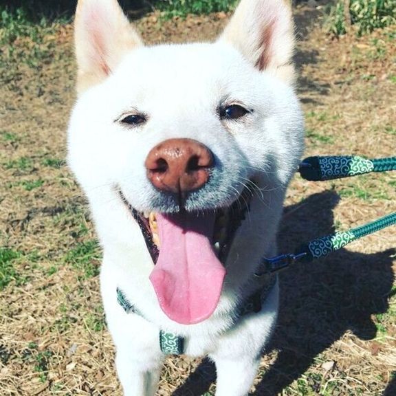 笑顔の福来くん