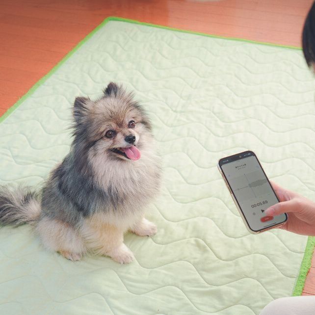 撮影／殿村忠博