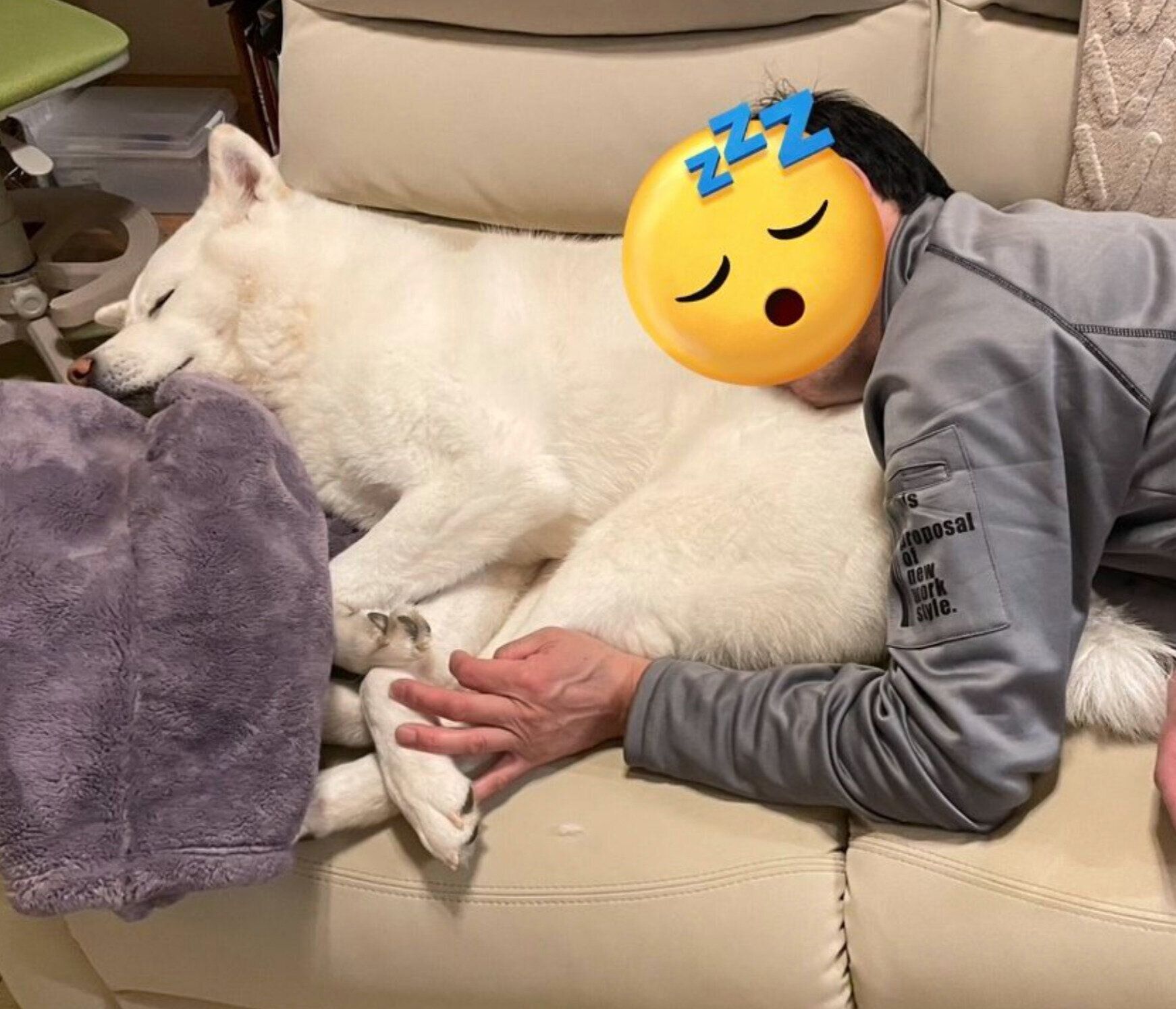 スヤスヤ眠るこまちちゃん