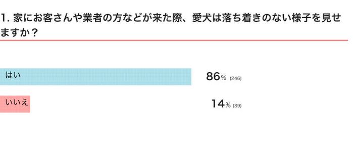 家にお客さんや業者の方などが来た際、愛犬は落ち着きのない様子を見せる?