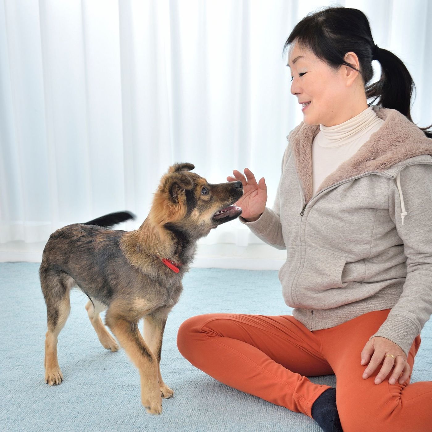 犬に噛まれたとき 絶対にやってはいけない3つのこと いぬのきもちweb Magazine 犬に噛まれたとき 絶対にやってはいけない3つのこと いぬのきもちweb Magazine