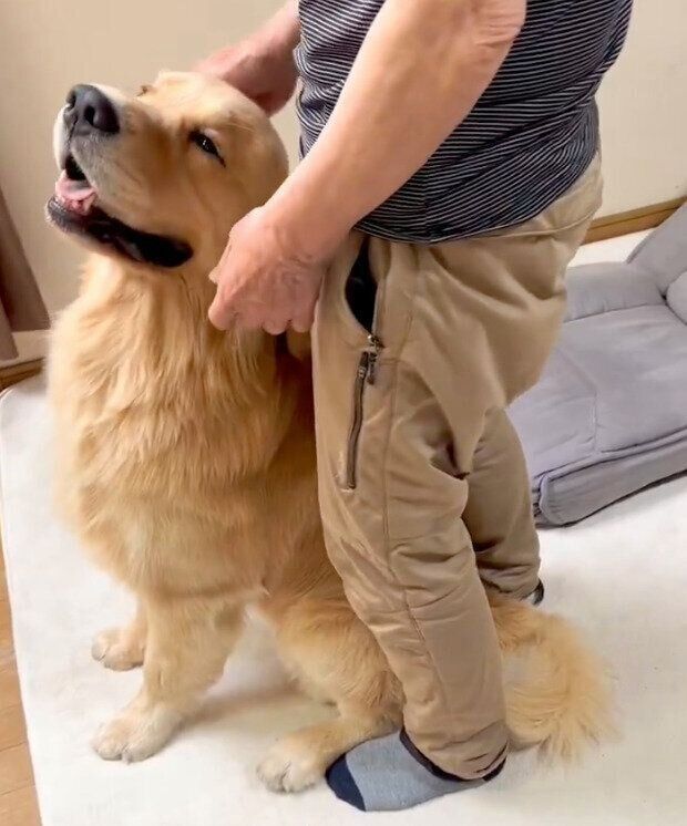 ポチタくんと飼い主さんのお父さん。