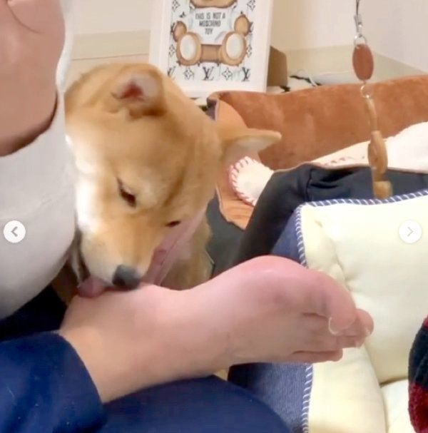 ギターを弾いているパパの邪魔をする福ちゃん