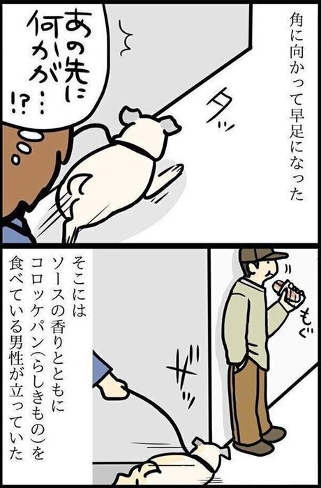 「おいしいニオイは分かる?」愛犬が年をとっても衰えないもの|連載「パグ犬・めー」vol.73