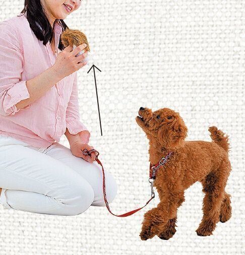 撮影／佐藤正之