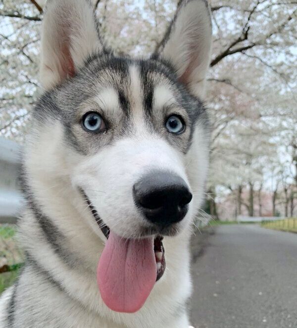 笑顔のロッカちゃん