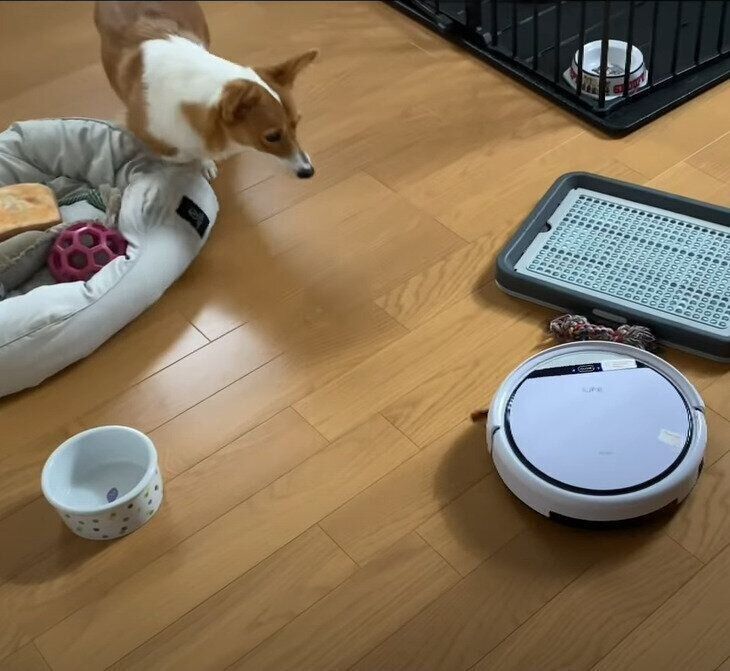 ロボット掃除機