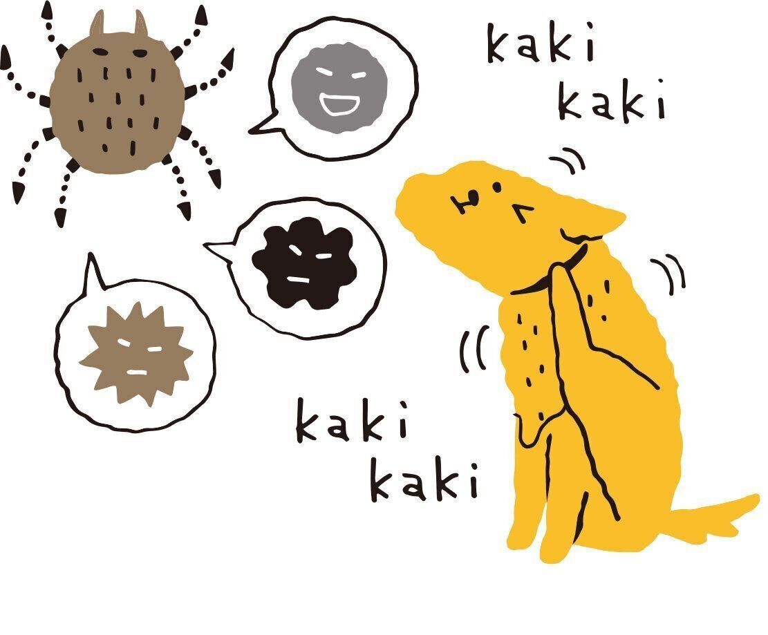 イラスト／山村真代