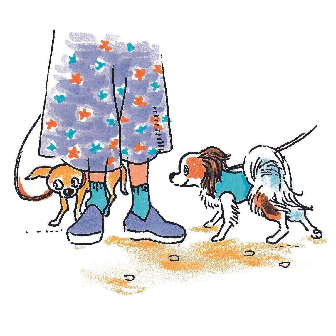 イラスト／小栗麗加