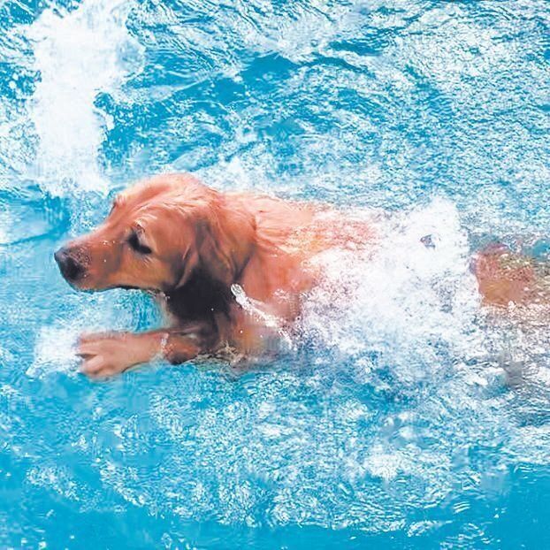 写真提供／Nさん