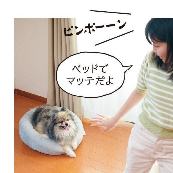 撮影／殿村忠博