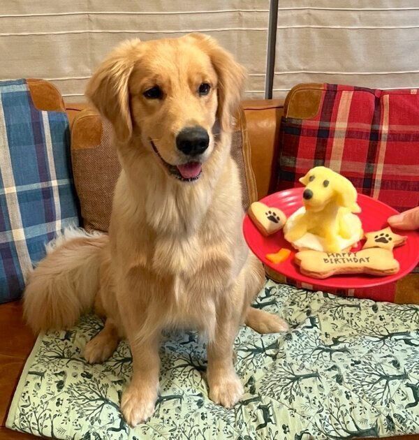 1才になったうどんちゃん