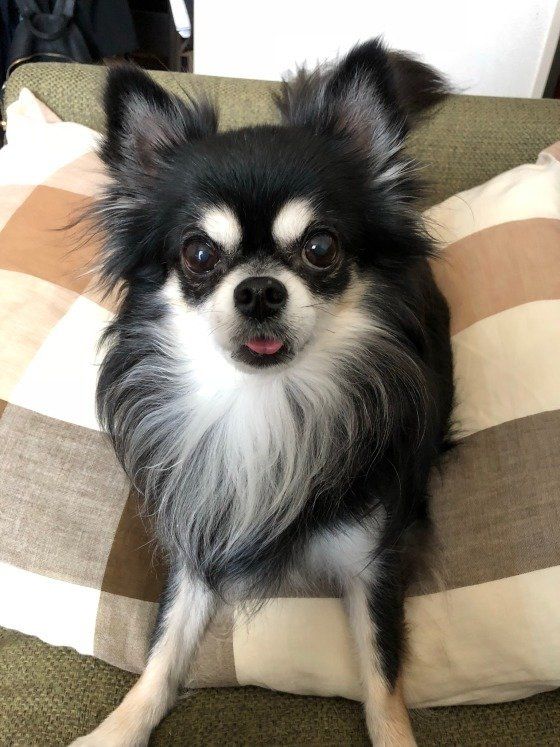 カメラ目線をありがとう！