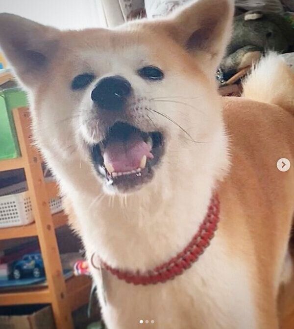 笑顔が可愛いジロウくん