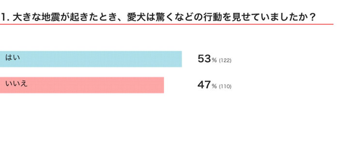 地震が発生したときに犬が見せた行動 を調査 慌ててしまう犬も いぬのきもちweb Magazine 地震が発生したときに犬が見せた行動 を調査 慌ててしまう犬も いぬのきもちweb Magazine
