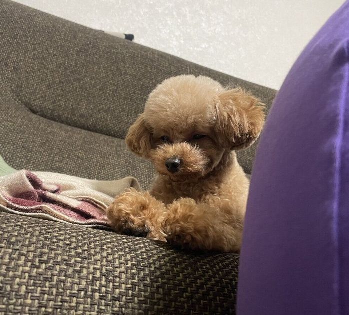 別の日、眠気を我慢するうたちゃん