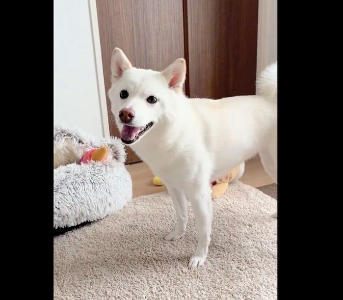 スッキリした表情をするほあちゃん