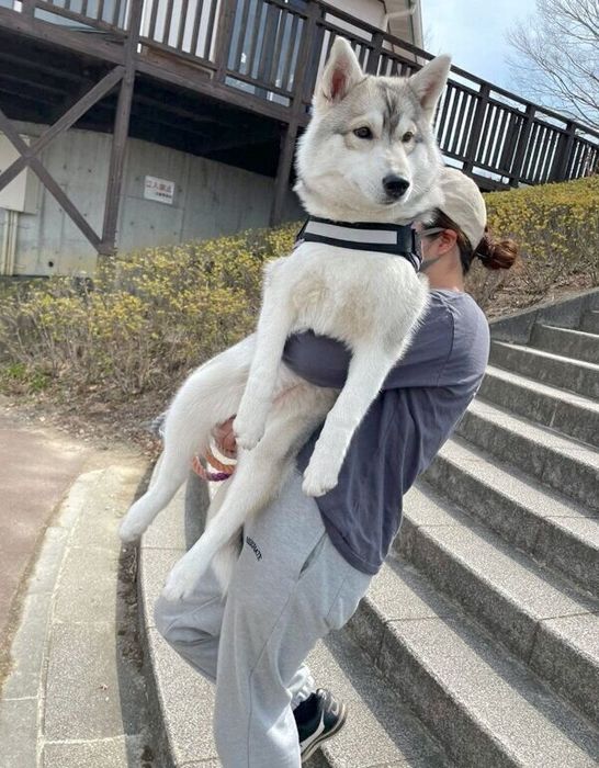 甘えるいちみちゃん