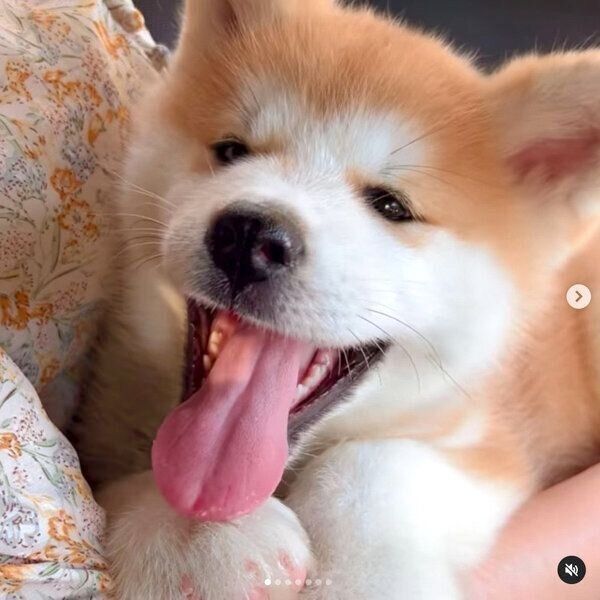 家族に迎えた日の薫くん