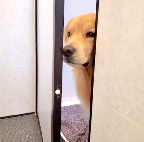 お風呂場に来たアランくん