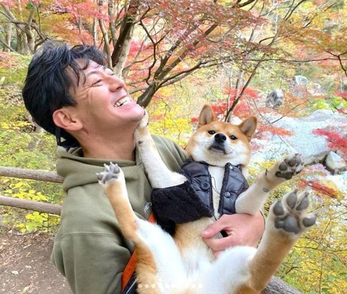 頑固だけど愛おしい 個性豊かな 拒否犬 たち集めました いぬのきもちweb Magazine 頑固だけど愛おしい 個性豊かな 拒否犬 たち集めました いぬのきもちweb Magazine