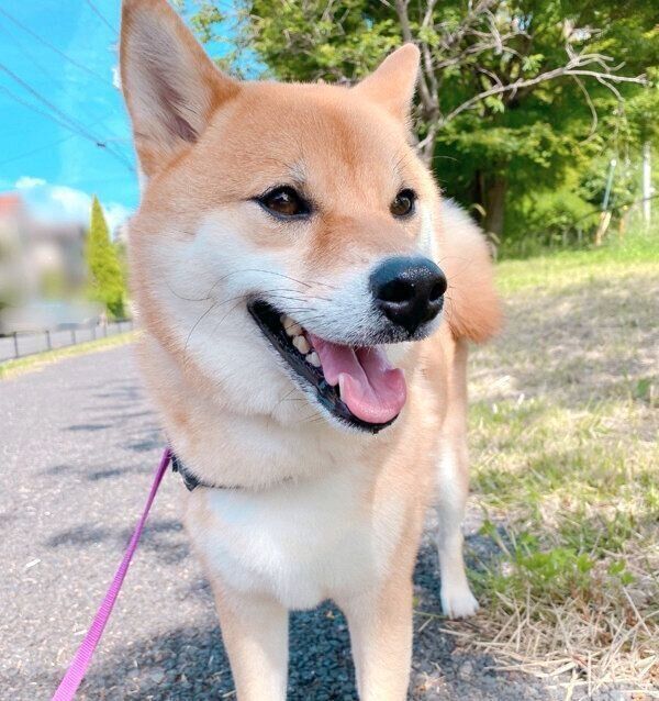 笑顔が可愛いむぎちゃん