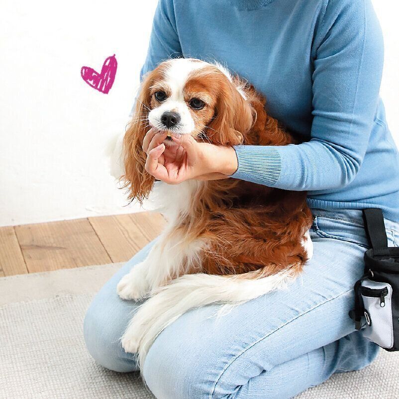 ほめながらおやつを