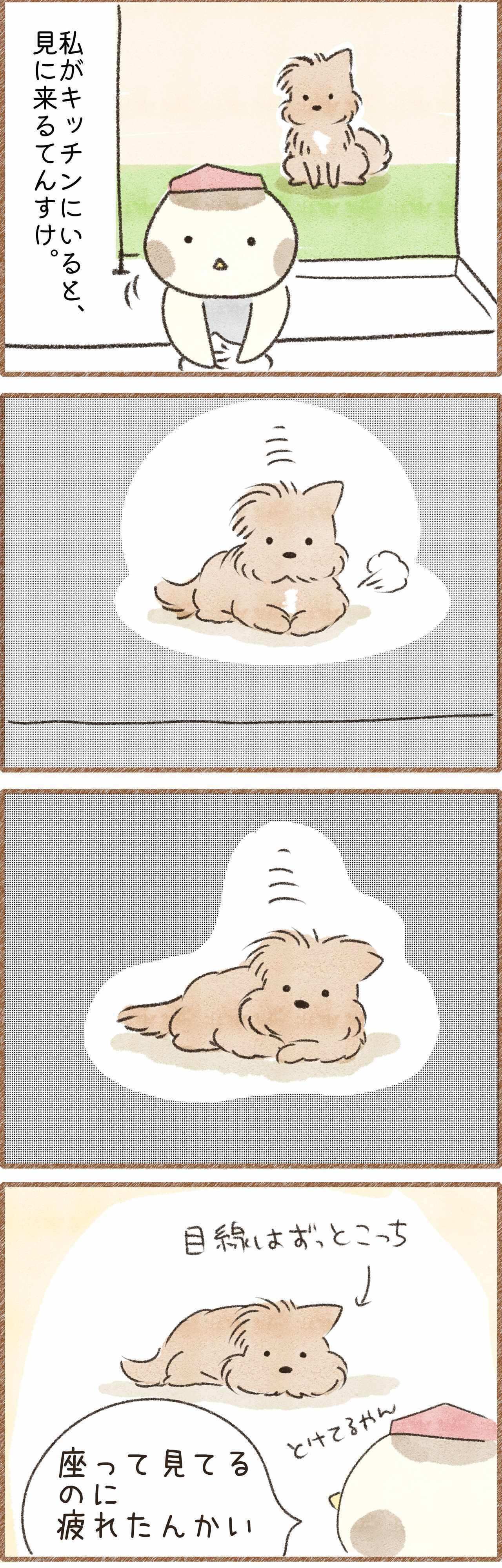 だんだん溶けていく犬のマンガ