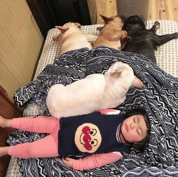 女の子といつも一緒にいるフレンチブルドッグ