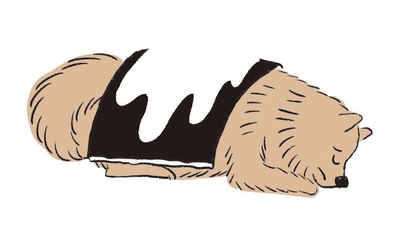 濡らしたバスタオルでおおって濡れた状態をキープすると◎