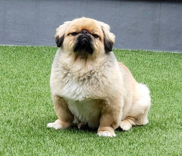 ふてくされる百吉ちゃん