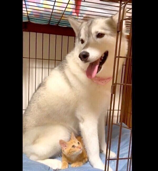 仲良しなユキちゃん、レンちゃん