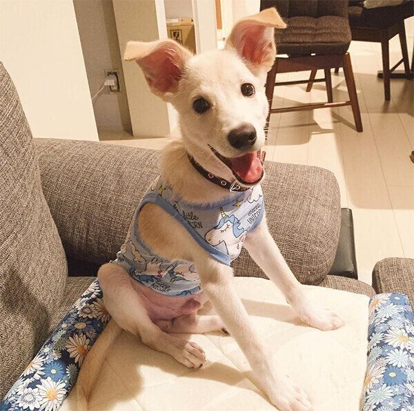 笑顔のレオンくん