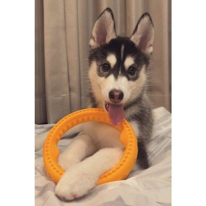 笑顔が可愛いルーナちゃん