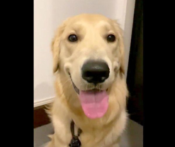 笑顔を見せるらん丸くん