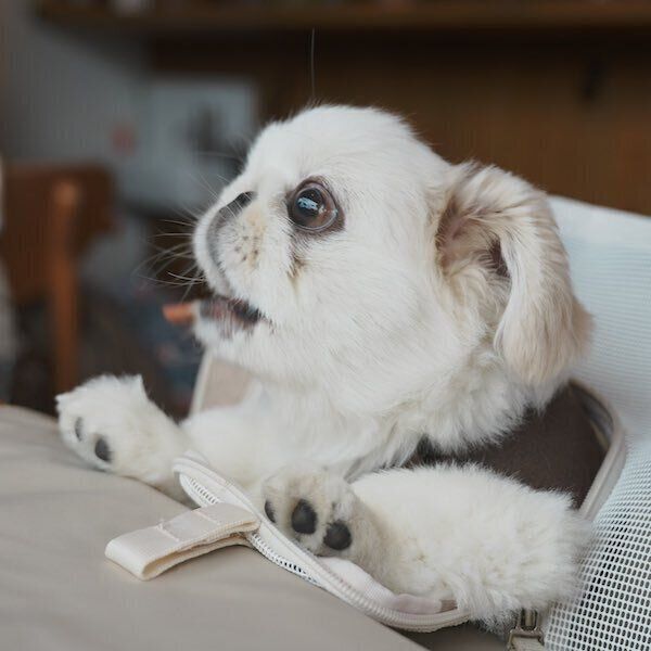 おやつを食べるぬん坊くん