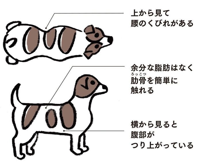 イラスト/オガワナホ