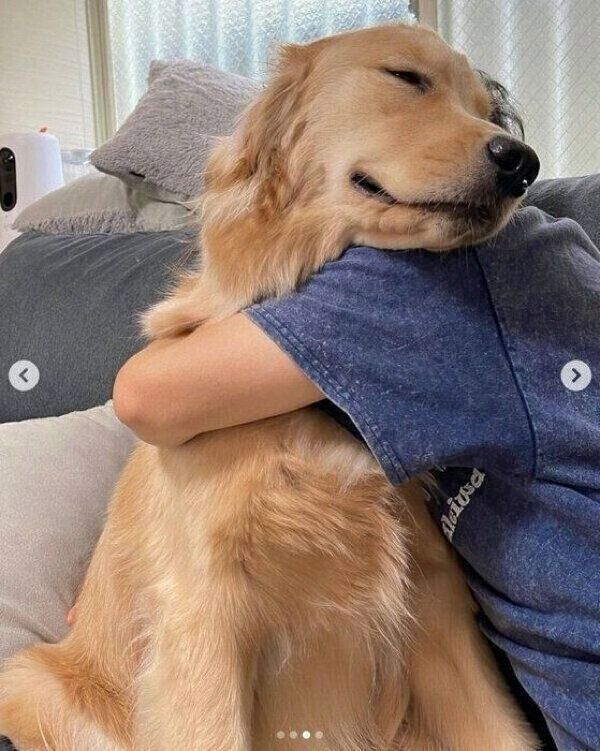 パパさんにギュッと抱きしめてもらって、幸せそうな表情を見せるおからちゃん