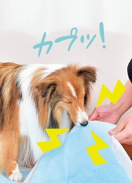 撮影／佐藤正之