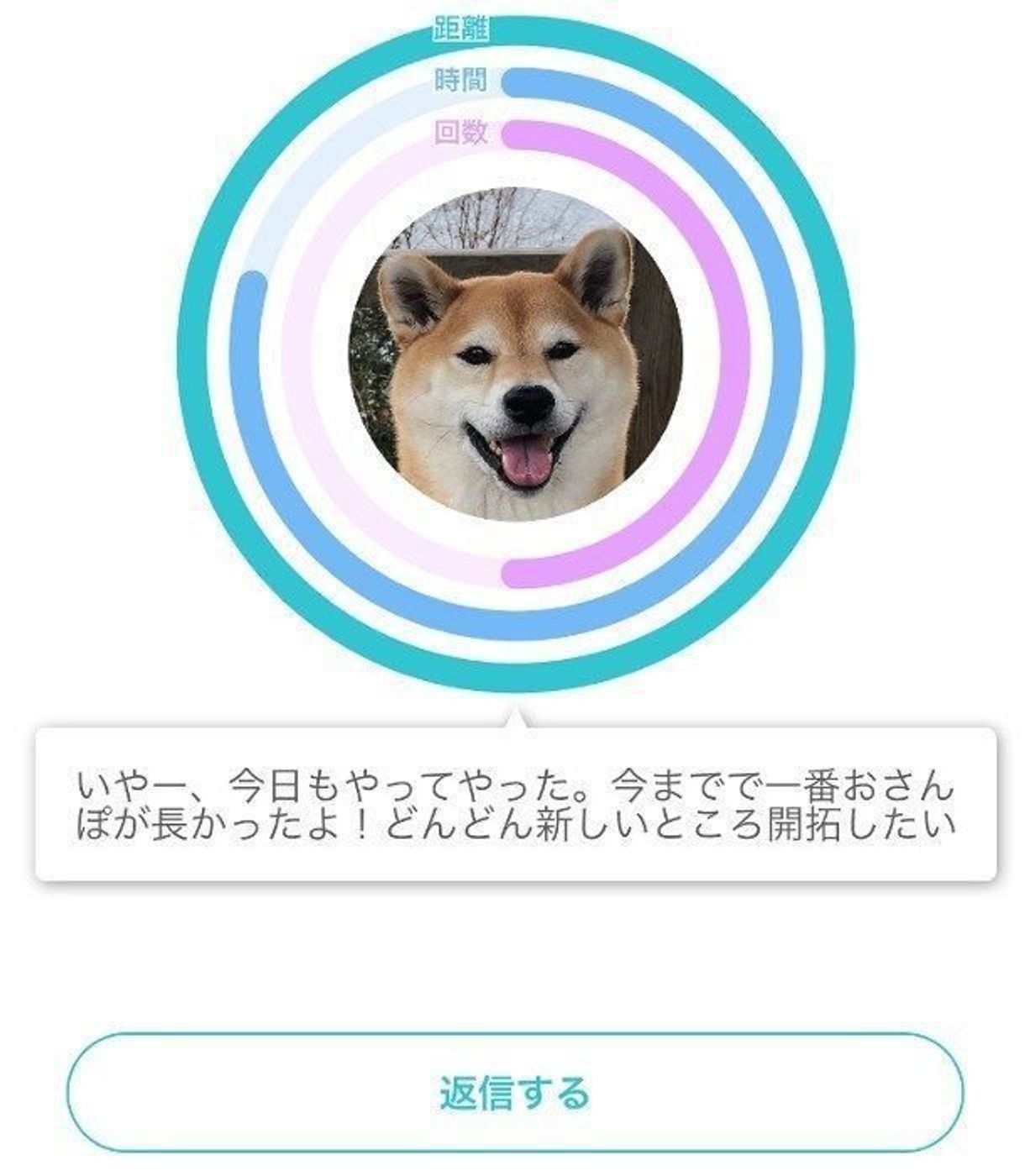 柴犬マロたん アプリでお散歩記録を付け始めました 意外と歩いているようです いぬのきもちweb Magazine 柴犬マロたん アプリでお散歩記録を付け始めました 意外と歩いているようです いぬのきもちweb Magazine