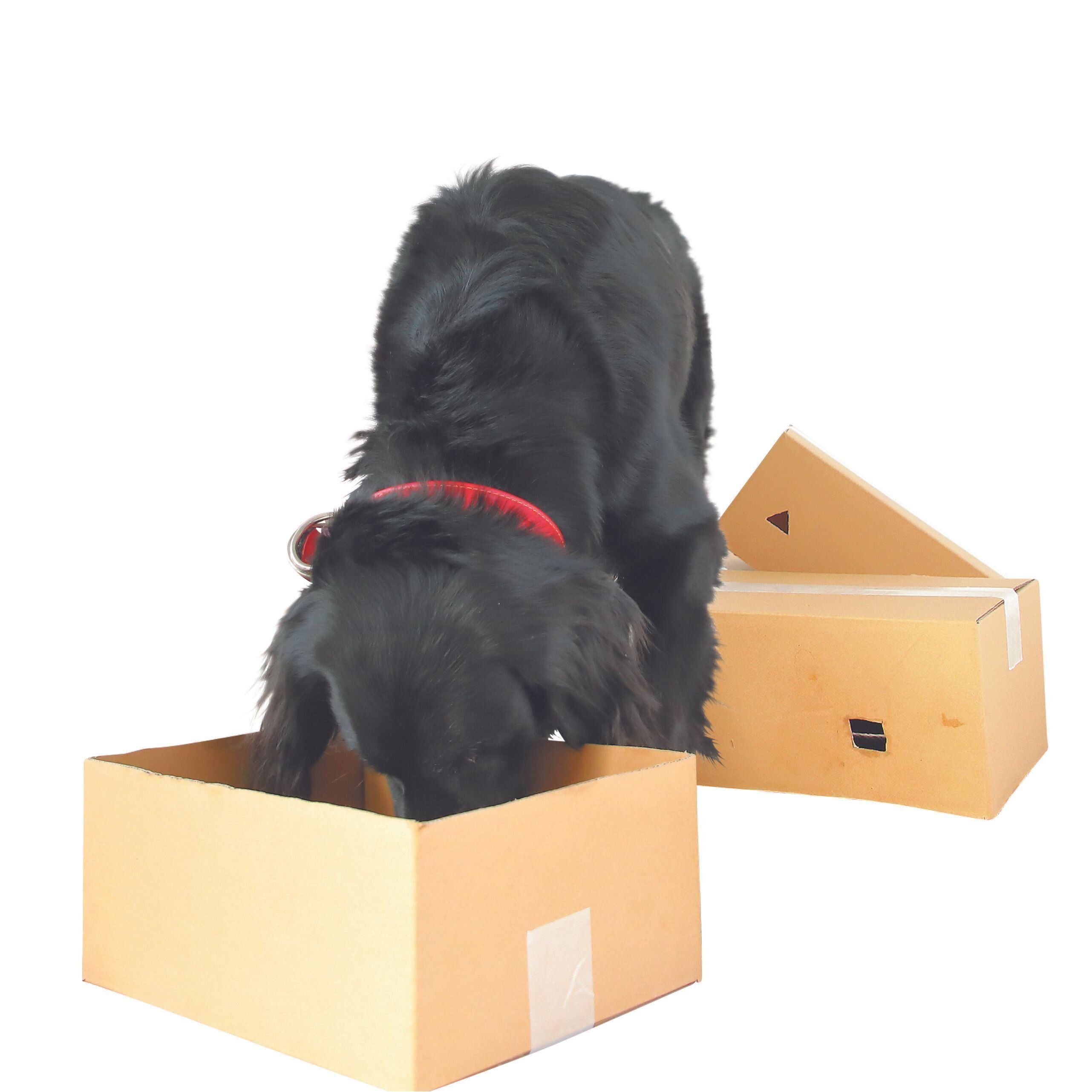 撮影／尾﨑たまき