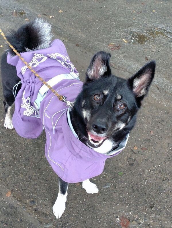 楽しそうな表情をするルアちゃん