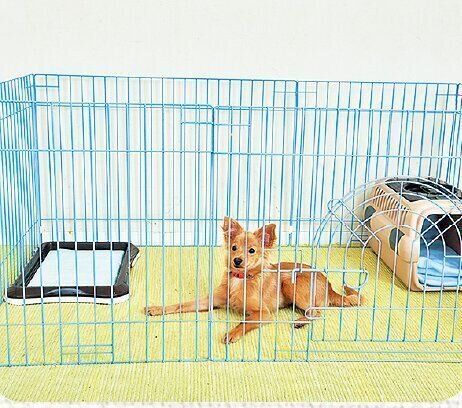 撮影／佐藤正之