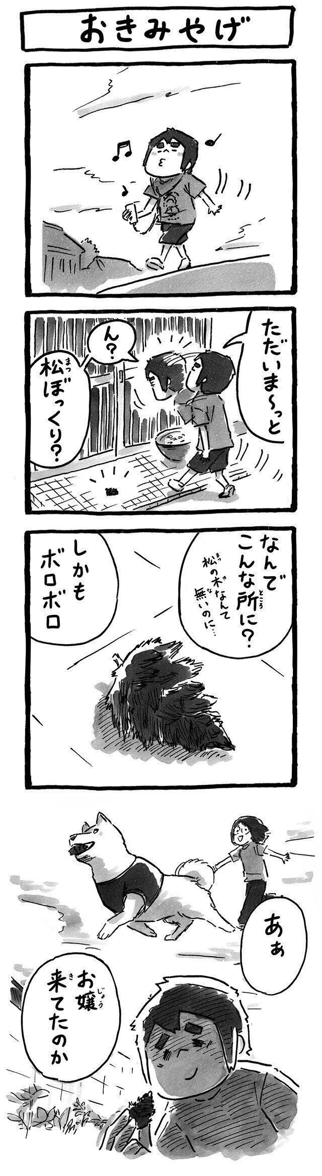 シーズー犬マンガてんぽshihtzu