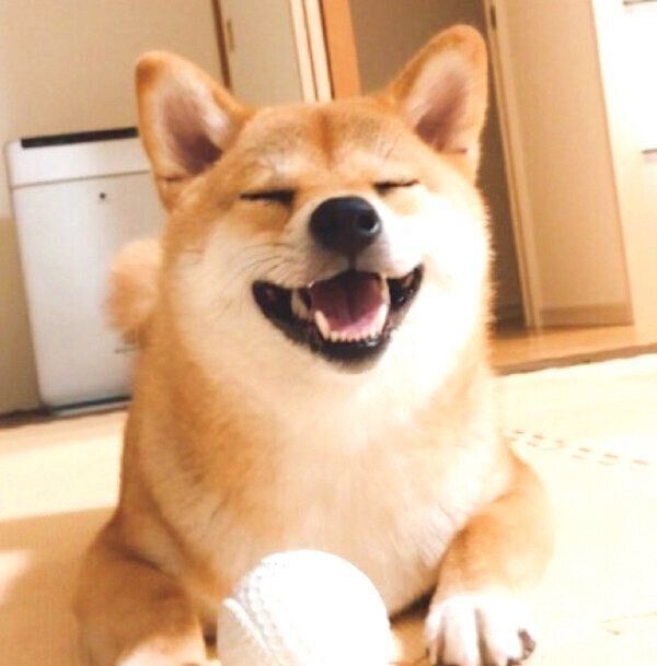 思いっきり笑うタツノコ姫ちゃん